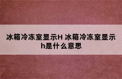 冰箱冷冻室显示H 冰箱冷冻室显示h是什么意思